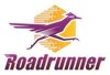 roadrunner-300x206.jpg