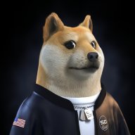 DogeMan